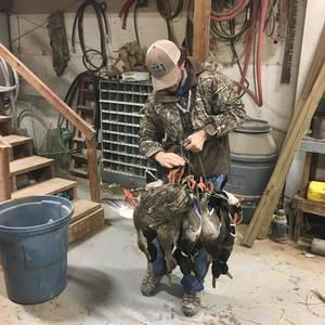 Meet your Posher, Jacob